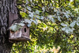 Nature Guesthouse - Varshets - 7