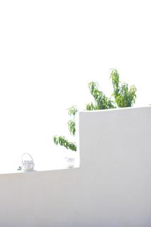 B&Bilfortesulmare - Ventimiglia - 1