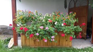 Borova House - Tryavna - 5