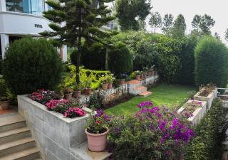 Twin Tree - Kotagiri - 5