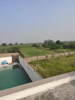 Jungle Retreat - 4