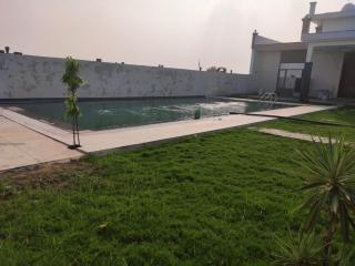 Jungle Retreat - 1