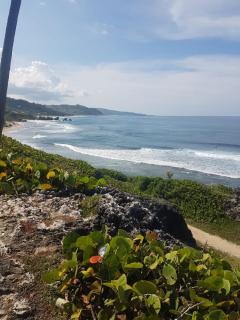 Breezy Apts - Saint Philip - 4