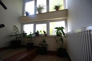 Hostel Teresianum - Aleksinac - 5