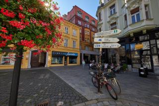 Le Monde Apartment Bratislava - amazing 5BDR in downtown - Bratislava - 8