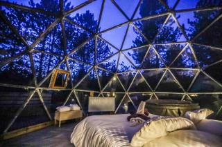 Domaine de la Font Vineuse & Spa - 6