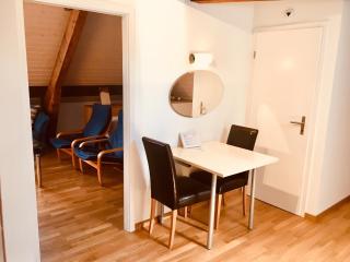 Hotel Central - Ginevra - 9