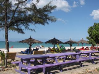 Kipepeo Beach and Village - Dar es Salaam - 7