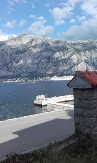 Apartment Tri Palme - 5
