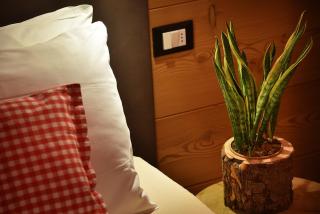 Sara Apartments - Livigno - 3