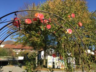 Annenhof - Bad Birnbach - 1