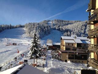 Un Isard au Pied des Pistes - 0