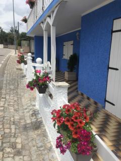 Casa De Newsham - Cabaços - 7