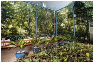 Hotel Plaza Yara - 2