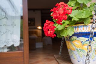The Flowers' House - 2