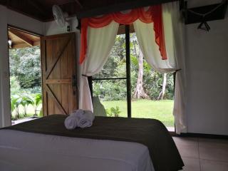 Hotel Catarata Río Celeste - Bijagua - 4