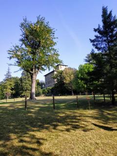 Chez Lucie CIR 0010 - Châtillon - 5