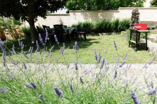 Apartman Branka - Ližnjan - 7