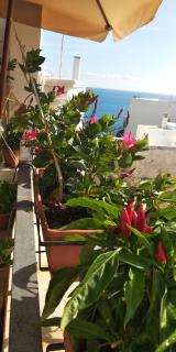 Tra le Mura - Polignano a Mare - 7