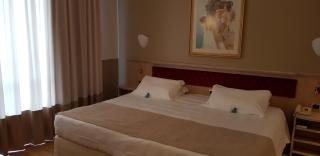 Santa Barbara Hotel - San Donato Milanese - 3