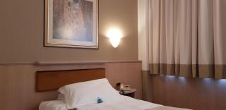 Santa Barbara Hotel - San Donato Milanese - 2