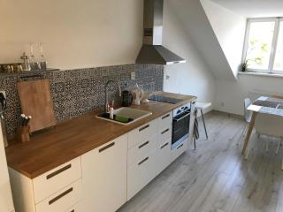 Apartmán na náměstí - Kašperské Hory - 0