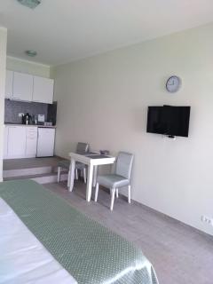 Villa Eagle Eye Montenegro - 8
