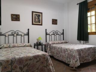 Villa Hierbabuena - Valle de Abdalagís - 6