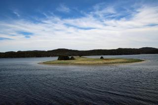 The Killick Inn & Suites - Arnold's Cove - 2