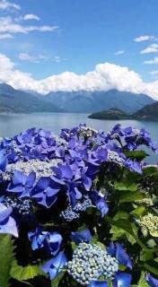 Agriturismo Piccolo paradiso - Pianello Del Lario - 0