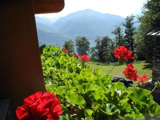 Agriturismo Piccolo paradiso - Pianello Del Lario - 7