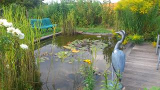 Lilac cottage - La Haye - 6