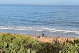 Flagler Beach Motel and Vacation Rentals - Flagler Beach - 8