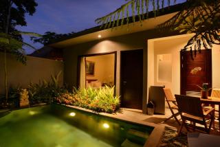 Ubud Wana Villa - Ubud - 9
