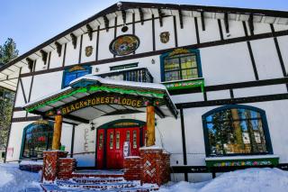 Black Forest Lodge - Big Bear Lake - 9