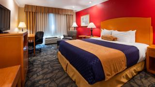 Best Western Plus - Anaheim Orange County Hotel - 6