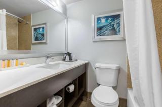 Cielo Hotel Bishop-Mammoth, an Ascend Collection Hotel - 4