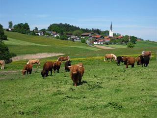 Fürstnerhof Chiemsee - 6