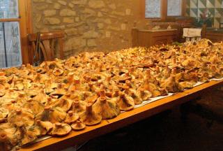 Apartamento rural con encanto Can Salvador - 4