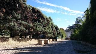 charmant studio - 1