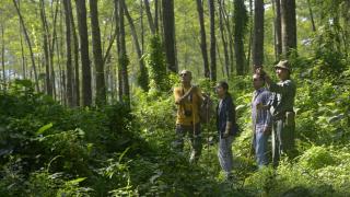 Barahi Jungle Lodge - 3