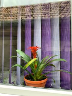 Pensiunea Casa Maria - 6