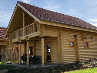 Boomstamhuis High Chaparral - 6