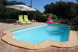 Le Petit Paradis - La Provençale - Lorgues - 4