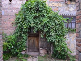 Agriturismo Borgo Santa Maria - Monteleone dʼOrvieto - 4