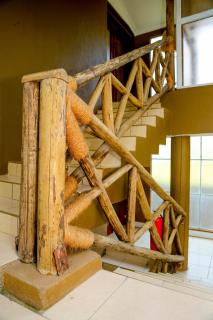 Malkia Trees Lodge - Arusha - 8