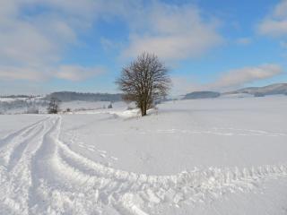 Holiday Villa Ruprechtice - 1