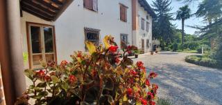 B&B Il Borghetto - Percoto - 1