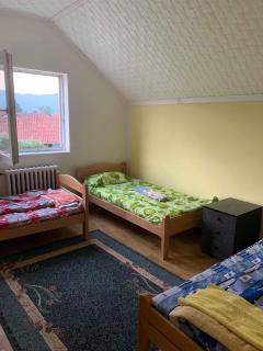 Idila - Bajina Bašta - 2