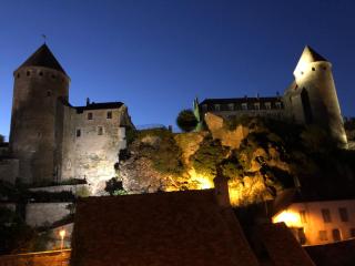 Bâtisse du pont Pinard et son granit rose - Semur-en-Auxois - 7